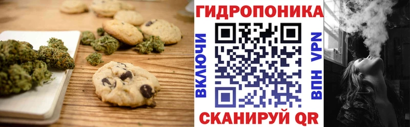 как найти закладки Раменское Canna-Cookies конопля