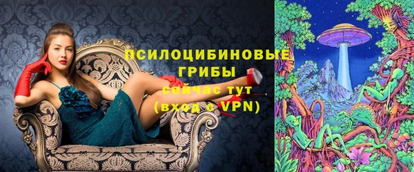 ECSTASY Шали
