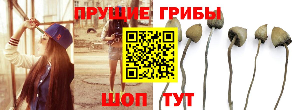 Галлюциногенные грибы GOLDEN TEACHER Раменское